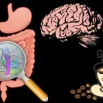 Microbes in the Intestines and Coffee Benefits